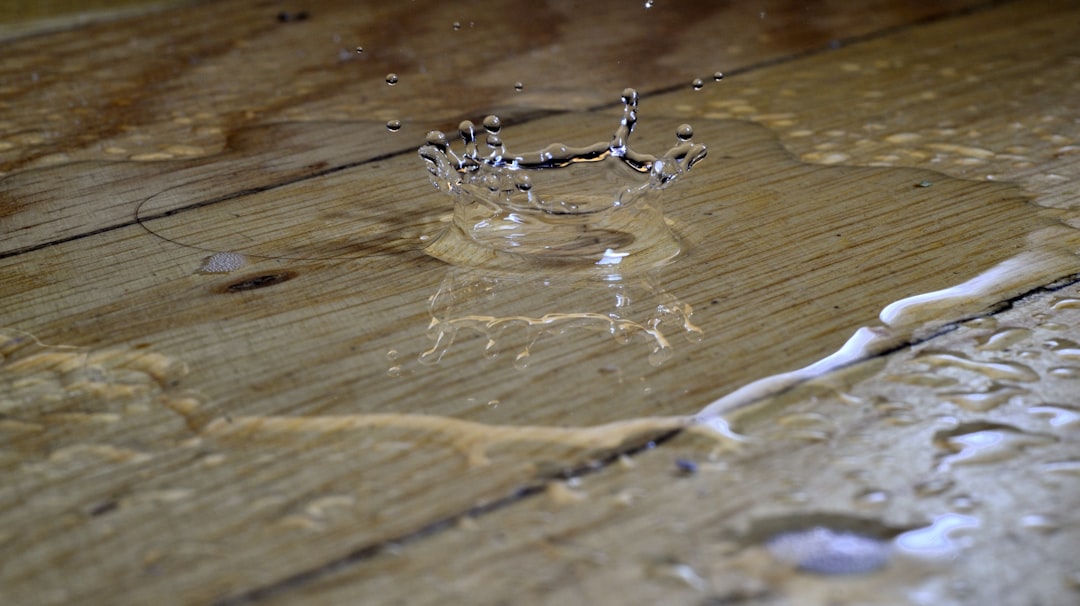 Photo by Piotr Łaskawski a spider on a wood surface
